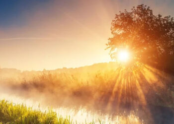 Riverbed Optimizes Encrypted Traffic, Improves Visibility